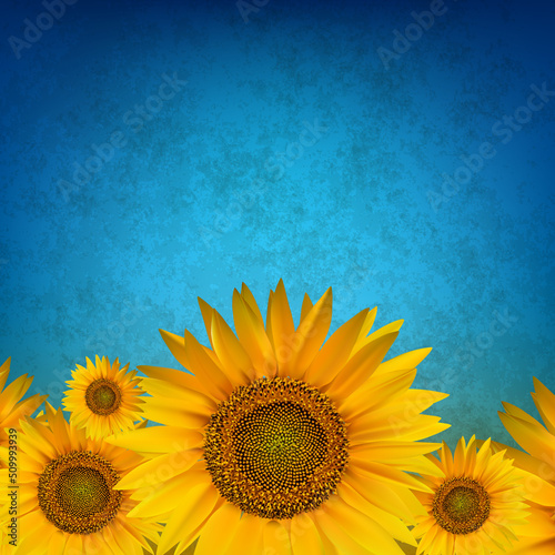 abstract floral background with sunflower on blue