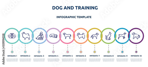 dog and training concept infographic design template. included null, tibetan mastiff, null, dog sleeping, english mastiff, shih tzu, springer spaniel, egyptian cat, scold the dog icons and 10 option