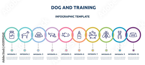 dog and training concept infographic design template. included honey treat, great dane, dog food, feeding the dog, big piranha, ph test, pets bath, big wasp, dish icons and 10 option or steps.