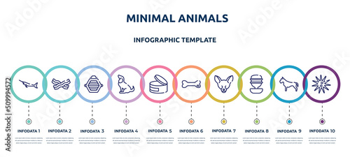 minimal animals concept infographic design template. included big swordfish, null, cat box, sitting dog, canned food, dog toy, fennec fox head, water replenisher, sea urchin icons and 10 option or
