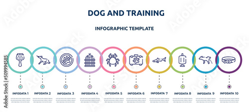 dog and training concept infographic design template. included grooming brush, dog playing, no animals, bird cage, big mite, pet first aid, big shark, sponge filter, dog collar icons and 10 option