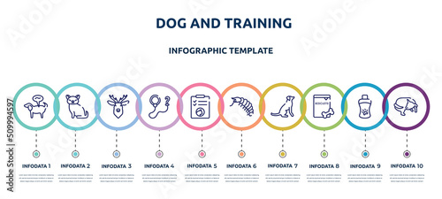 dog and training concept infographic design template. included pet disease, cat toy, deer head, leash, cat health list, big shrimp, dog seatting, biscuits, dog chasing tail icons and 10 option or