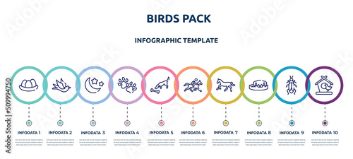 birds pack concept infographic design template. included egg in a nest, black bird, moon and stars, dog paw, dog smelling a bone, race horse with jockey, horse running, dog resting, bird and house