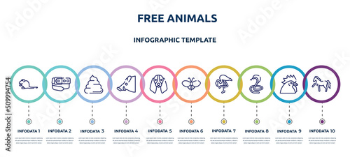 free animals concept infographic design template. included sitting mouse, belt and buckle, pile of dung, boar head, bas hound dog head, plain butterfly, flamingo with leg up, poisonous cobra, horse