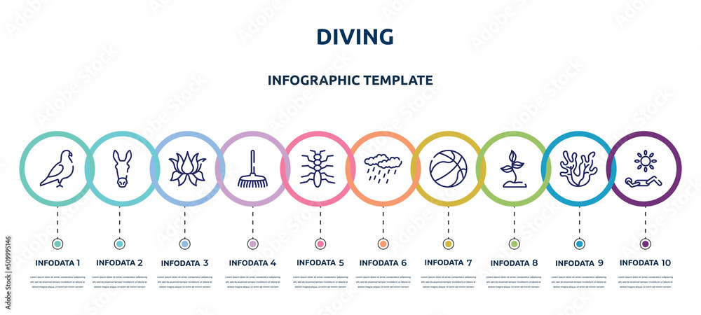 diving concept infographic design template. included pigeon, donkey ...