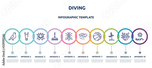 diving concept infographic design template. included pigeon, donkey, lotus flower, rake, tree lobster, precipitation, basketball ball, soil, sunbathing icons and 10 option or steps.