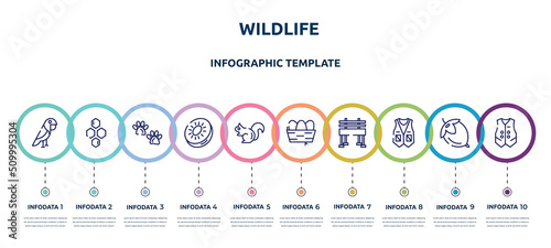 wildlife concept infographic design template. included parrot, hive, pawprints, kiwi, chipmunk, nest, bench, vest, waistcoat icons and 10 option or steps.