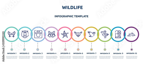 wildlife concept infographic design template. included crab, baboon, veterinarian, racoon, starfish, fennec, dove, pelican, moss icons and 10 option or steps.