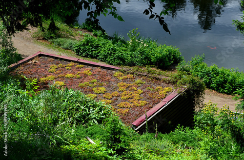 the roof of a garden house or chaupy with a flat, undemanding green roof with succulents and colorful rock gardens. park roof by the road above the pond, overgrown with greenery