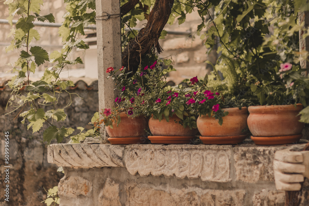 Flowers in the street