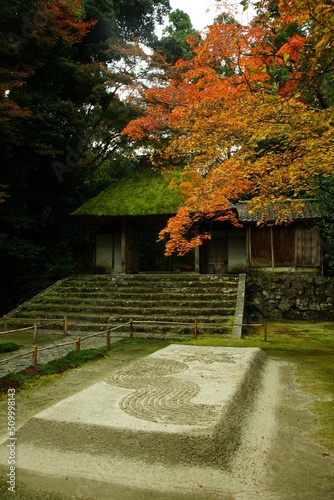 Kyoto Honen-in temple in autumn leaves season photo