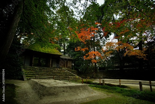 Kyoto Honen-in temple in autumn leaves season photo
