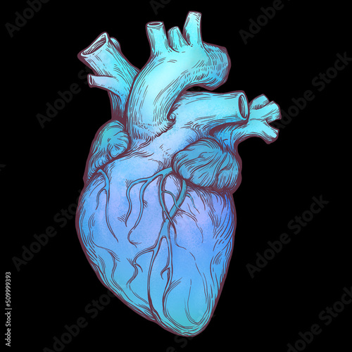 Realistic heart blue watercolor graphic on isolated black background