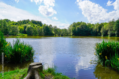 Fototapeta Naklejka Na Ścianę i Meble -  Beuerbacher See near Beuerbach. Pond with surrounding nature in Hesse. Landscape at the lake.
