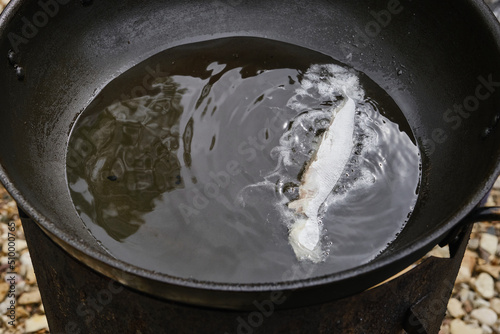 Small fish fry on a pan in oil. Shallow depth of field
