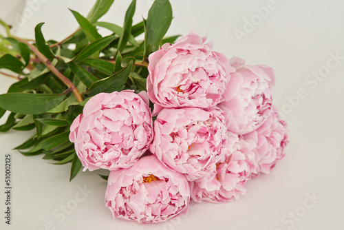 Fototapeta Naklejka Na Ścianę i Meble -  Beautiful wedding fresh pink peony bouquet in natural light