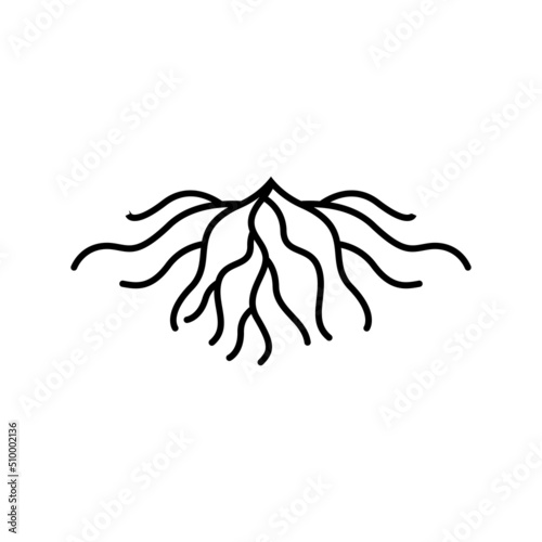 root logo icon design vector