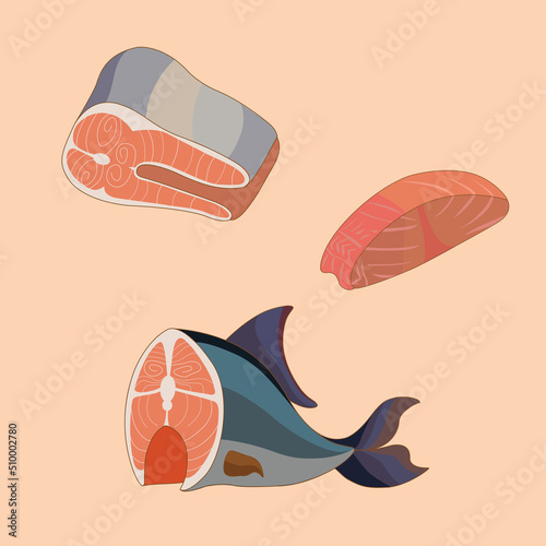 Losos filet and fish vectors