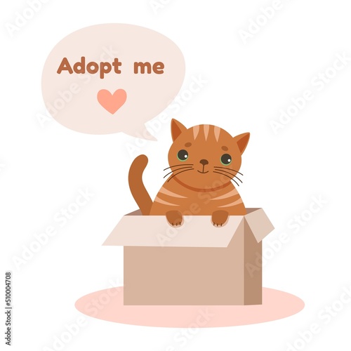 Ginger homeless cat or kitten inside a cardboard box asks for the adoption. Adopt a pet illustration for animal shelter. © Татьяна Шанахина
