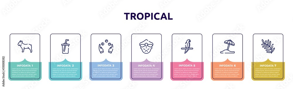 tropical concept infographic design template. included bulldog, soda, juggling, maharaja, aw, sun umbrella, fern icons and 7 option or steps.
