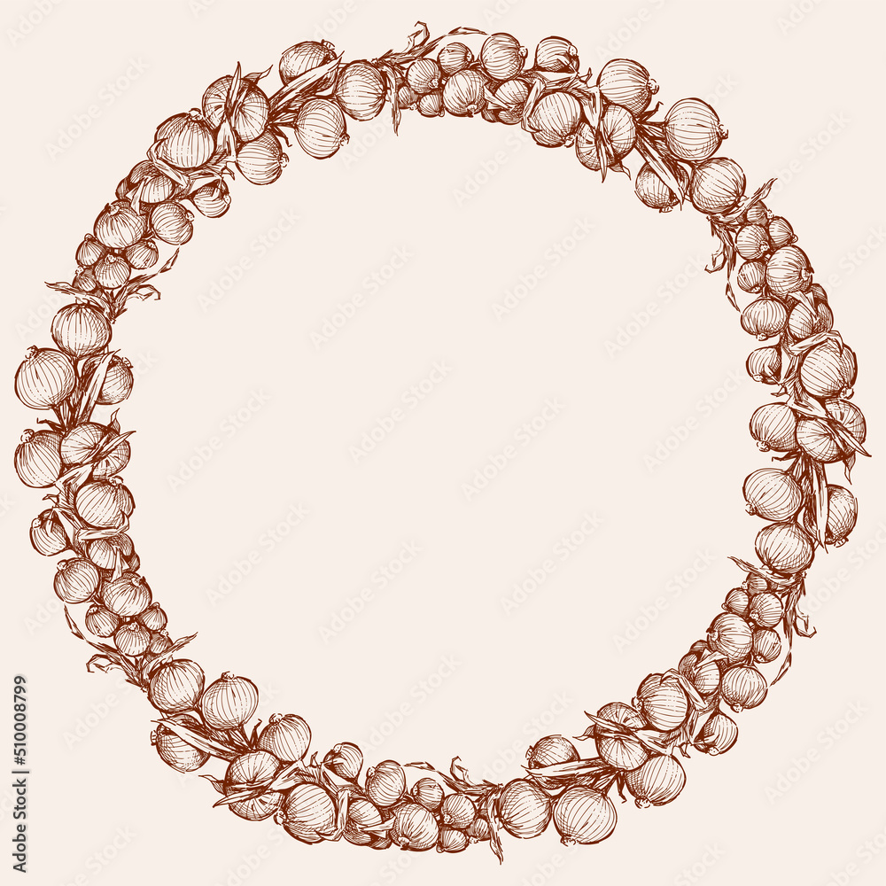 Obraz premium Decorative wreath from sketches ripe onion bunches