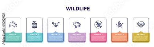 wildlife concept infographic design template. included tapir, beehive, fennec, bison, no cut, starfish, chimpanzee icons and 7 option or steps.