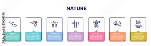 nature concept infographic design template. included worm, hair dryer, pet house, bamboo, winged insect, bush, owl icons and 7 option or steps.