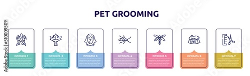 pet grooming concept infographic design template. included turtle, maple leaf, penguin, earwig, dragon fly, pet bowl, groomer icons and 7 option or steps.
