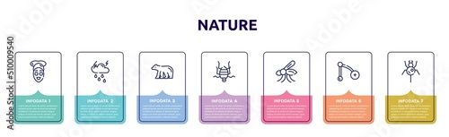 nature concept infographic design template. included facial treatment, thunderstorm, polar bear, bedbug, mosquito, branch, spider icons and 7 option or steps.