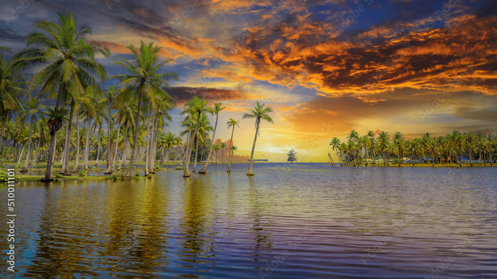 tropical island with coconut trees in sunset