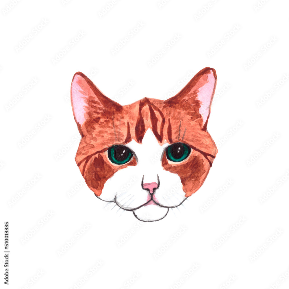 Hand drawn red cat isolated on background Hand drawn red cat isolated on background
