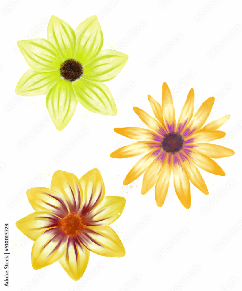 Set of summer flowers isolated on white background. Summer party decor. Festival decorations.