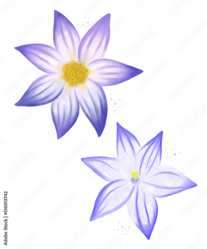 Purple watercolour water lily isolated on white. Summer flowers set. Purple watercolour water lily isolated on white. Summer flowers set.