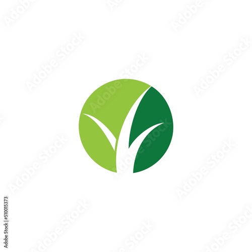 green grass logo design template