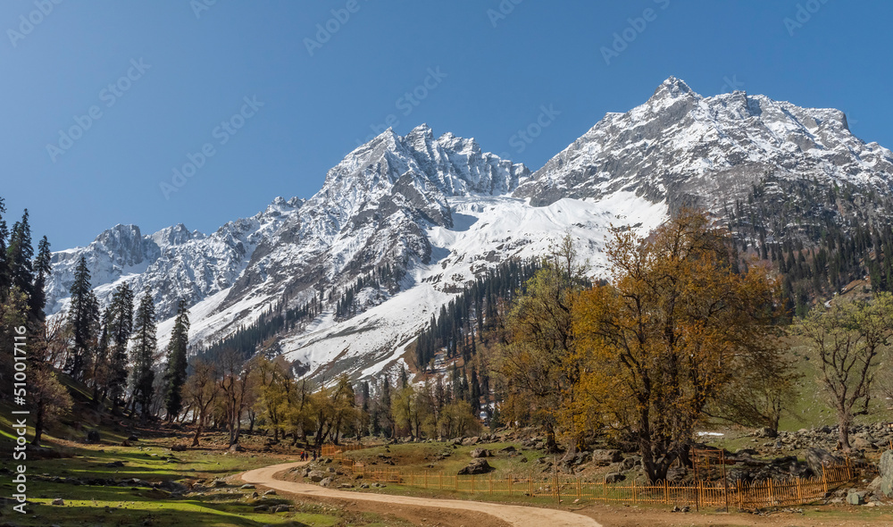 Alpine Landscape in Sonmarg, Kashmir, India