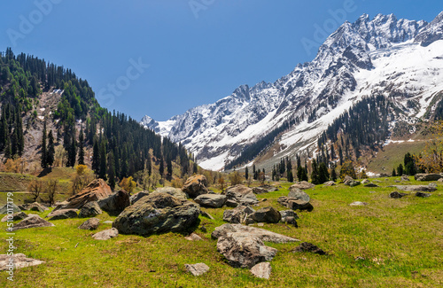 Alipne meadow at Sonmarg in Jammu and kashmir, India