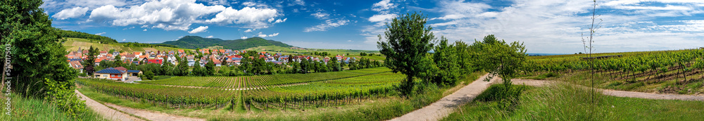 Deutsche Weinstraße bei Ranschweiler in der Pfalz, Rheinland-Pfalz, Deutschland