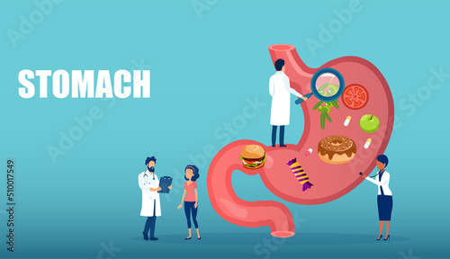 Vector of doctors examiniting patient nutrition and stomach