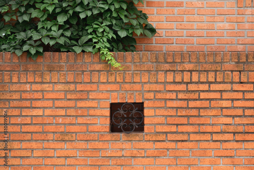 Brown brick wall and green leaf at Yeonhui-dong street in Seoul, Korea Brown brick wall and green leaf at Yeonhui-dong street in Seoul, Korea