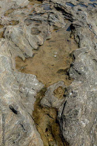 l'estran, flaques d'eau sur un rocher