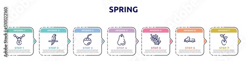 spring concept infographic design template. included locks, aw, coconut water, pear, fern, pickup truck, seeds icons and 7 option or steps.