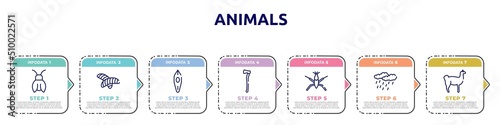 animals concept infographic design template. included cicada, null, canoe, axe, pond skater, precipitation, llama icons and 7 option or steps.