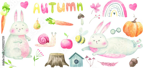 clipart with autumn elements, bunnies and vegetables, fruits, cute watercolor illustration isolated on white background