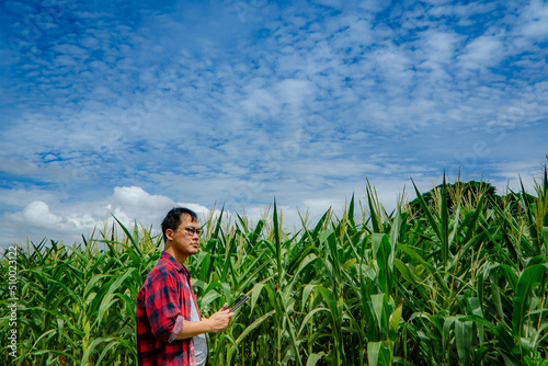 Asian Farmer stand in the corn field with holding tablet and farmer wearing red checkered shirt taking,Organic farming and healthy food production,Smart Farmer