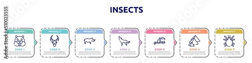 insects concept infographic design template. included beaver, necklace, rhino, wolf, snowplow, pyramid, mite icons and 7 option or steps.