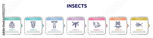 insects concept infographic design template. included ladybug, facial treatment, null, dragon fly, whale, owl, earwig icons and 7 option or steps. photo