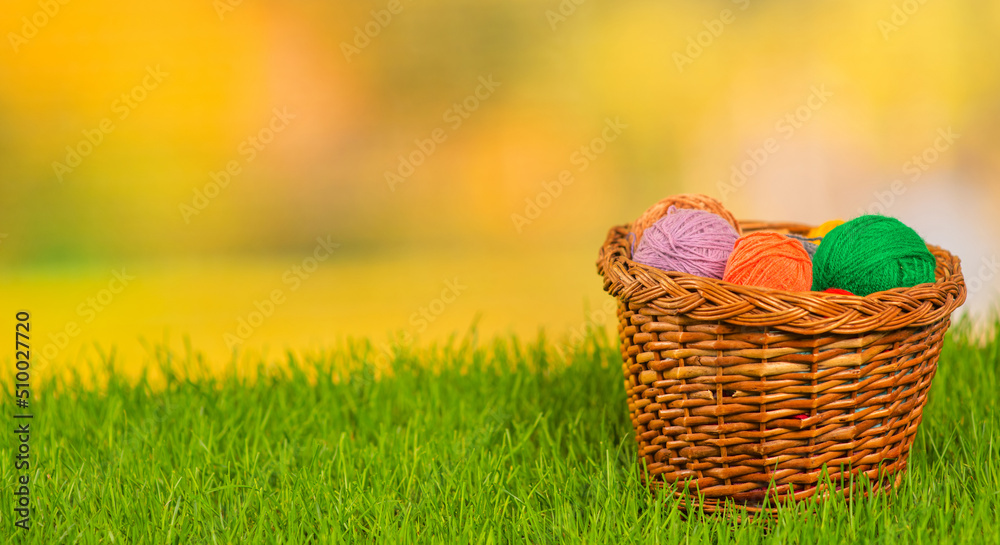 Knitting balls of different colors lying in a wicker basket on green grass. Stretched panoramic image for banner. Place for text. Stretched panoramic image for banner Knitting balls of different colors lying in a wicker basket on green grass. Stretched panoramic image for banner. Place for text. Stretched panoramic image for banner