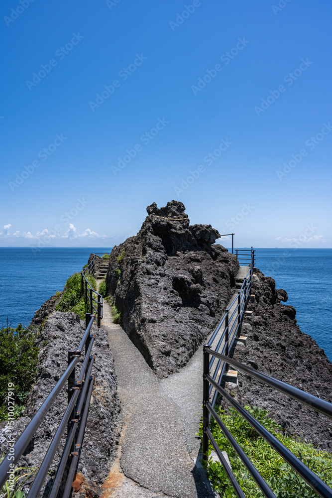 Obraz premium 石廊崎オーシャンパーク - 石廊崎