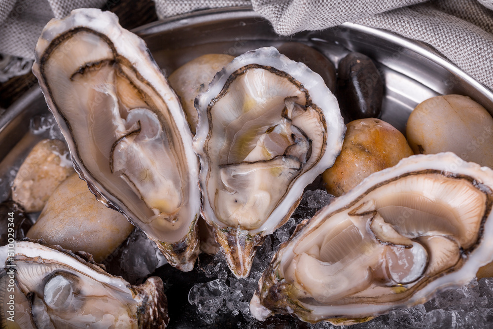 fresh open ready to eat oysters on a plate with ice fish restaurant fresh open ready to eat oysters on a plate with ice fish restaurant
