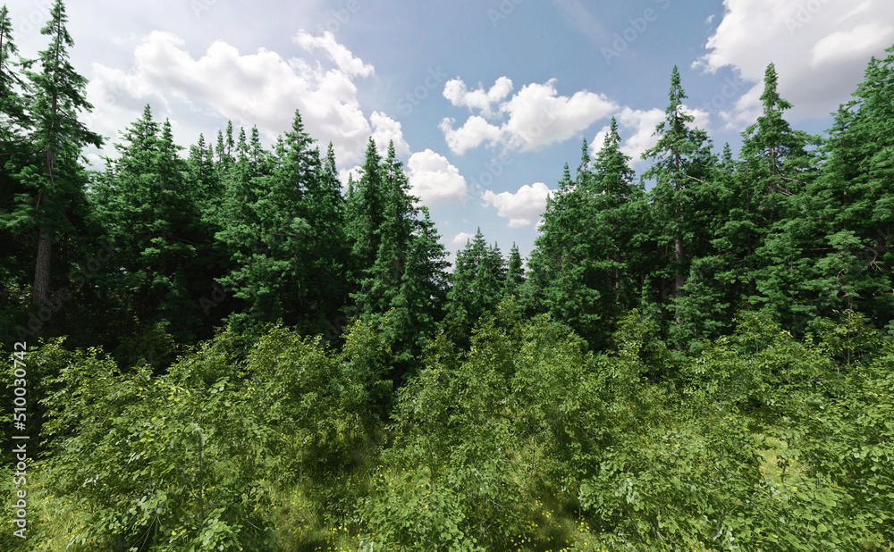 Fototapeta premium Pine and deciduous trees under a blue cloudy sky. 3D render.